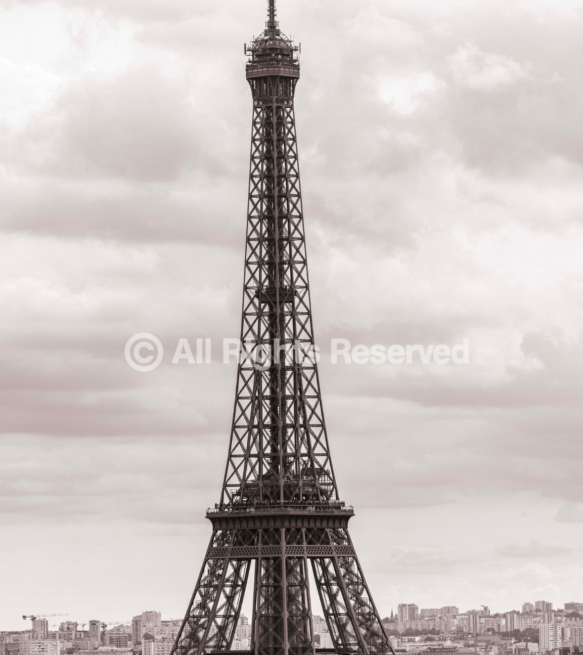 Eiffel Tower - "The Climb"